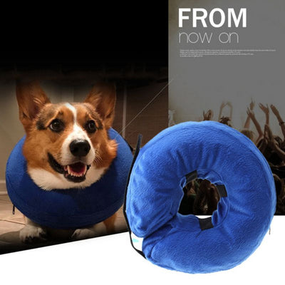 The Donut