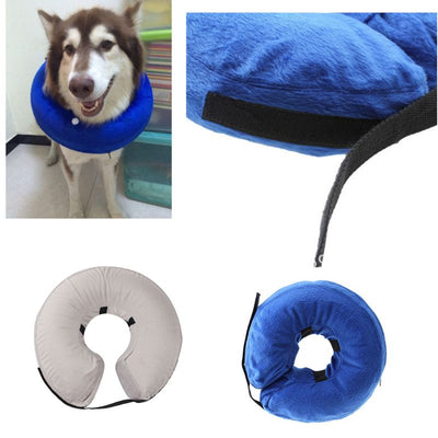 The Donut