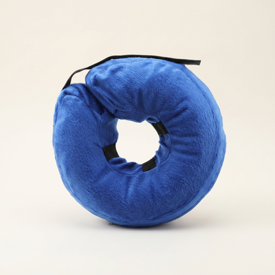 The Donut