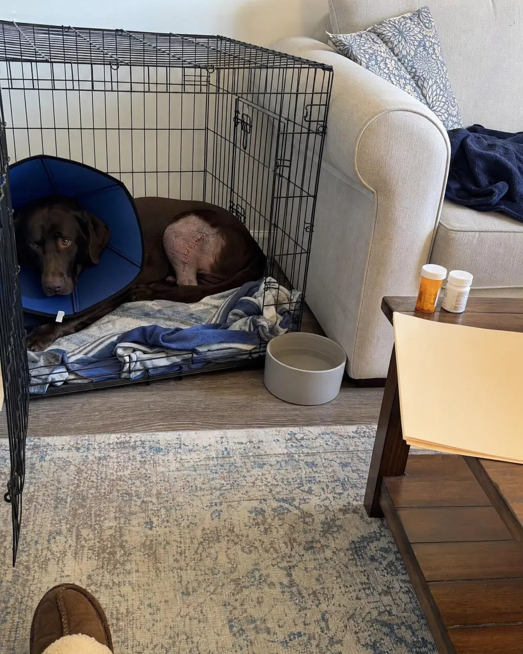 Lab post-op day one