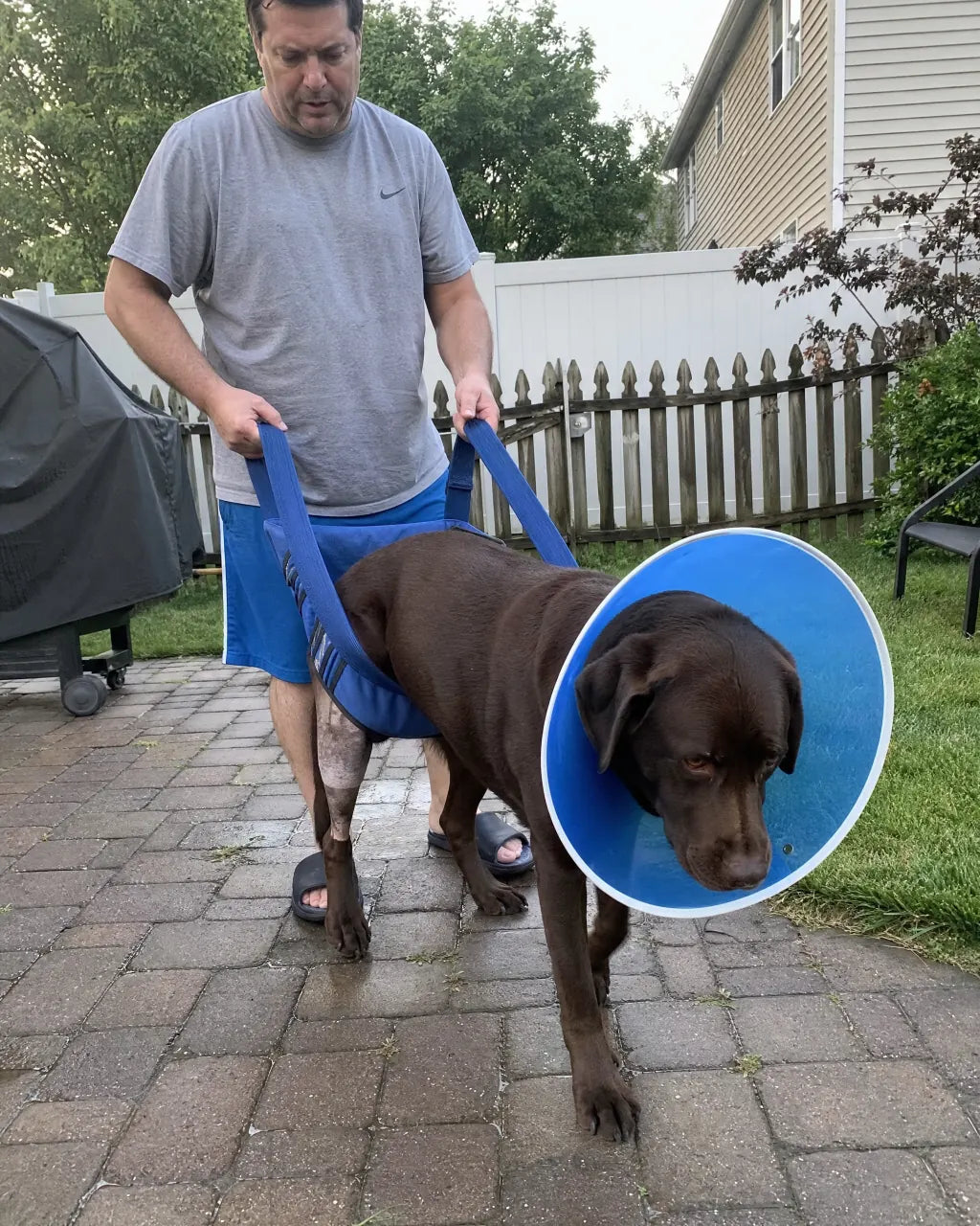 Lab post-TPLO