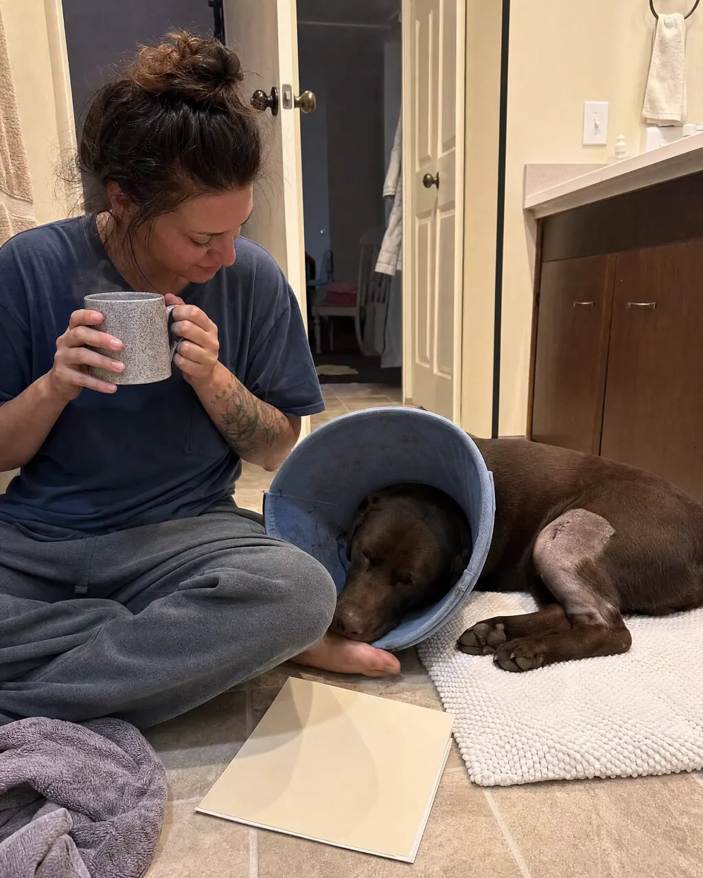 Dog recovering from CCL surgery on bathmat